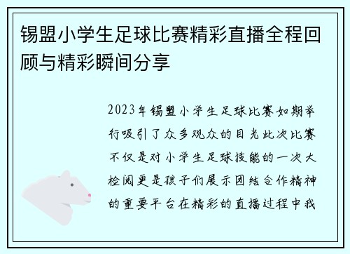 锡盟小学生足球比赛精彩直播全程回顾与精彩瞬间分享