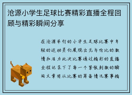 沧源小学生足球比赛精彩直播全程回顾与精彩瞬间分享